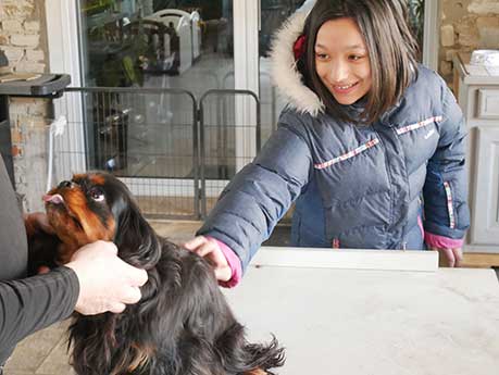 Visite d’un élevage canin