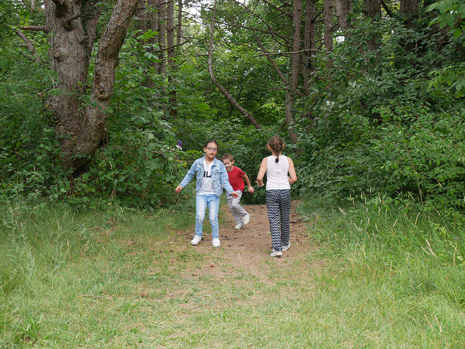 Promenons nous dans les bois …